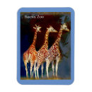 Search for giraffe magnets Zoo
