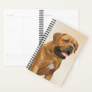 Search for mastiff office supplies Puppy