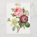Search for passion postcards floral