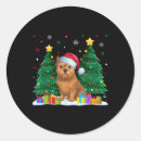 Search for brussels griffon stickers Dabbing through the snow