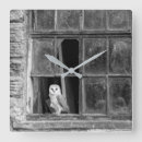 Search for owl clocks Barn