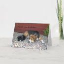 Search for hound dog thank you cards Beagle