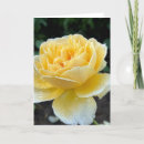 Search for yellow rose note cards Garden