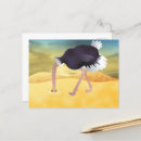 Search for head in sand postcards Bird