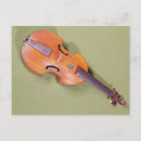 Search for viol String