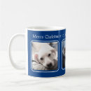 Search for three mugs Pet