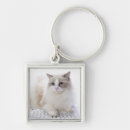 Search for ragdoll key rings Pet