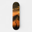 Search for lonely skateboards Sunset