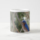 Search for bluebird coffee mugs Birds