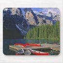 Search for dock mousepads Nature