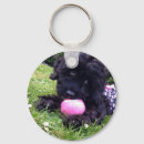 Search for cockapoo key rings Puppy