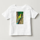 Search for rainbow macaw Green