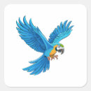 Search for exotic pet stickers Parrot