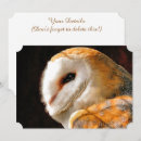 Search for barn owls invitations Wild