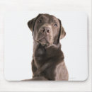 Search for one shot mousepads Full length