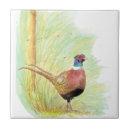 Search for pheasant tiles Animal