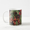 Search for haeckel mugs Kunstformen der natur
