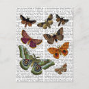 Search for moths postcards Flower leaves