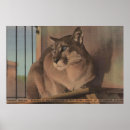 Search for st petersburg florida posters States
