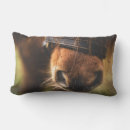 Search for brown cushions Equestrian