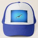 Search for soaring hats Flying