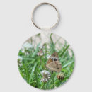 Search for buckeyes key rings Butterfly