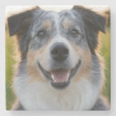 Search for pet photo coasters Pets