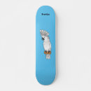Search for cartoon skateboards Bird