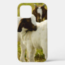 Search for livestock cases Pasture