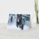 Search for wolf lovers cards Dogs