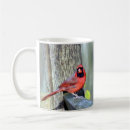 Search for male female mugs Cardinal