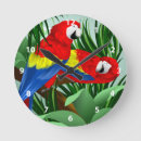 Search for scarlet macaws art Animals