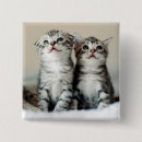 Search for kittens badges Pet