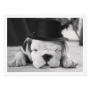 Search for bulldog art Puppy