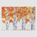 Search for birch trees tissue paper Vintage