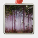 Search for land christmas tree decorations National