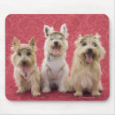 Search for dressed up mousepads Vertical