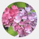 Search for hydrangea stickers Round