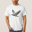 Search for pelicans tshirts Ocean