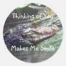 Search for gators stickers Reptile