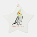 Search for parrot christmas tree decorations Tropical birds