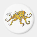 Search for blue ring magnets Ocean