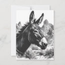 Search for black and white postcards Rustic