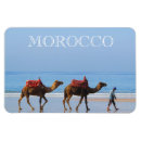 Search for camel magnets Africa
