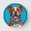 Search for cute pitbull Bully