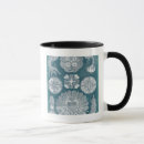 Search for jellyfish coffee mugs Coastal