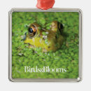 Search for frog christmas tree decorations Animal
