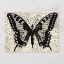 Search for vision postcards Butterfly