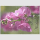 Search for mothers day tissue paper Floral