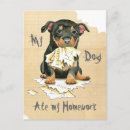 Search for heelers postcards Puppy